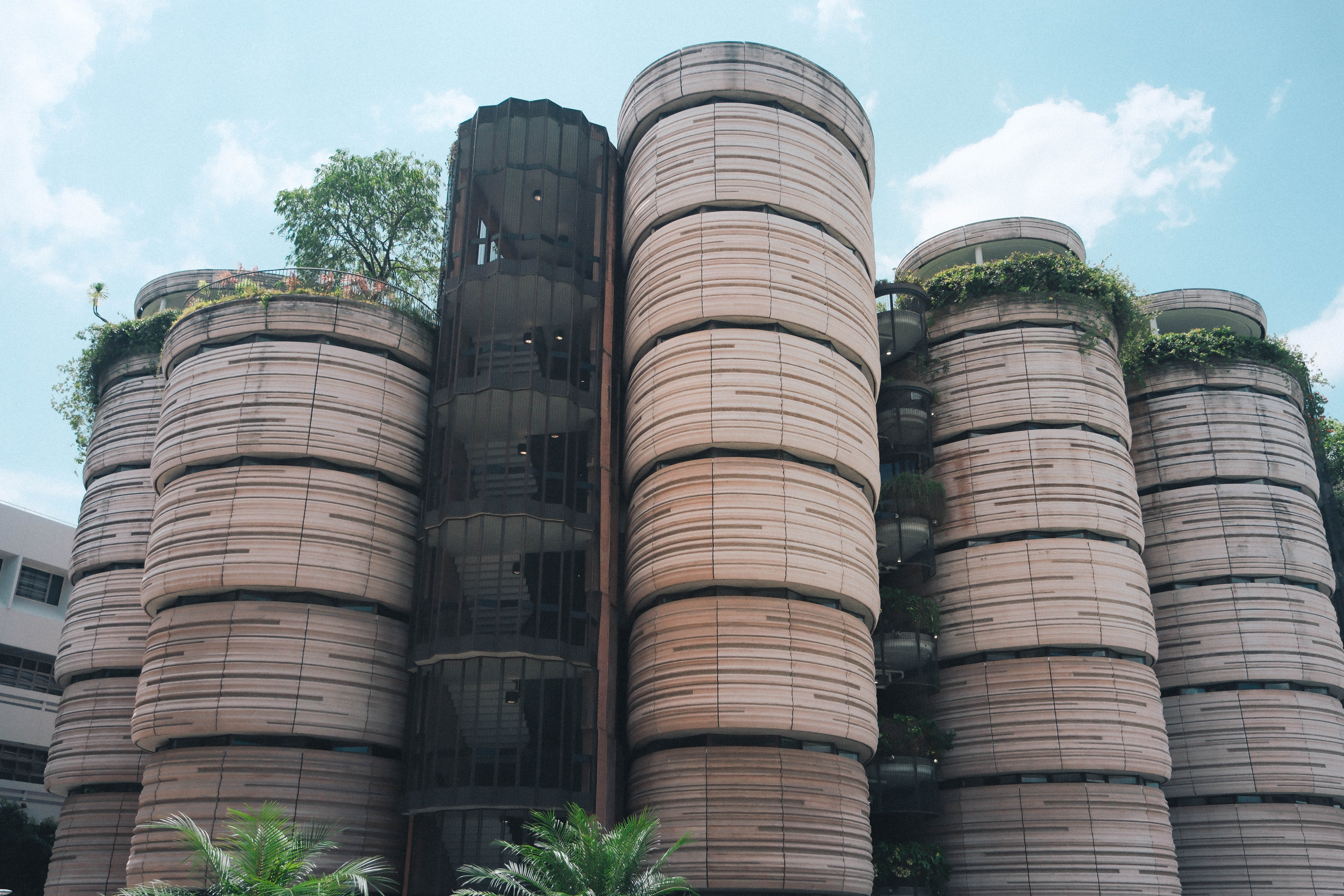 NTU and Singapore