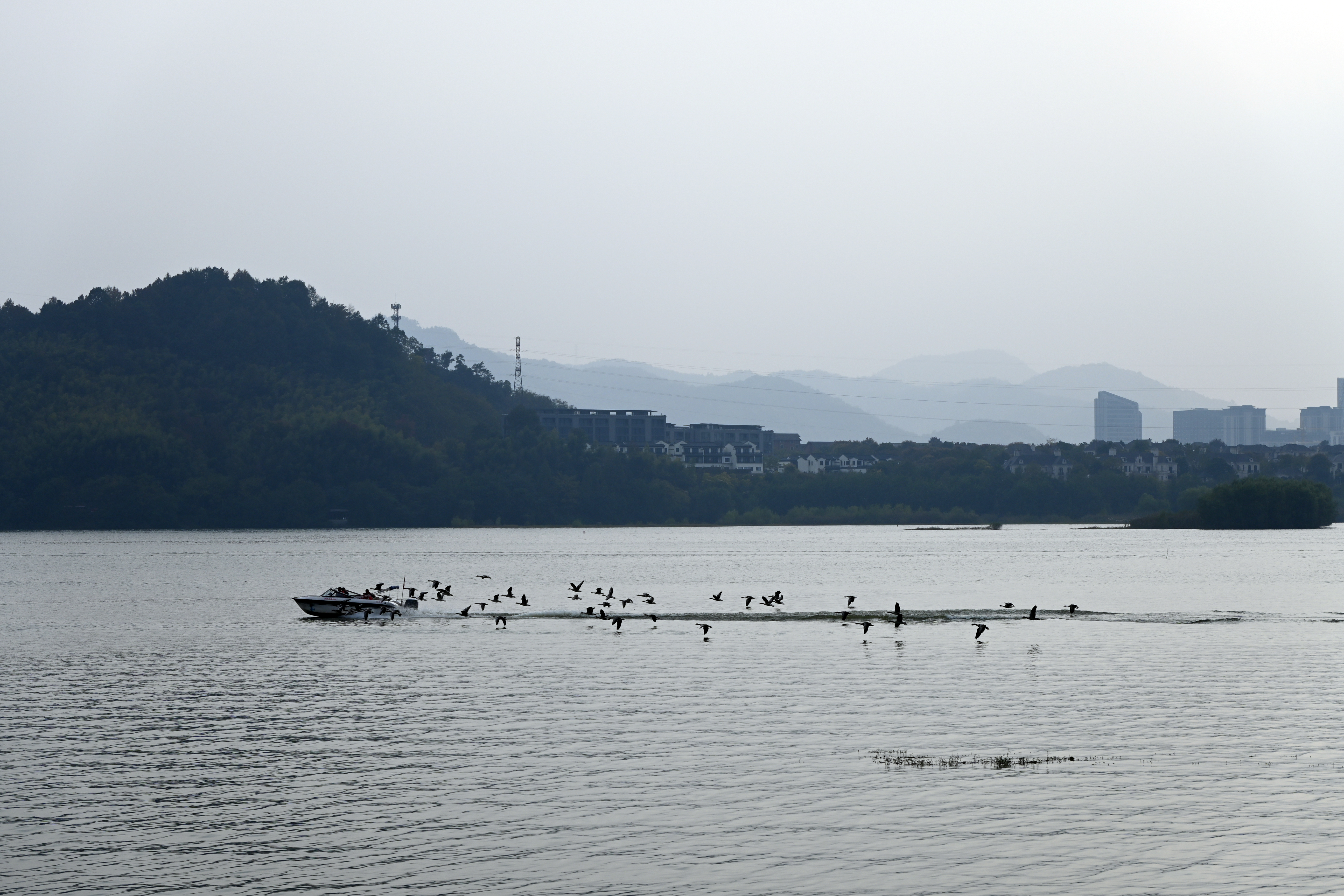 Zhejiang University and Hangzhou
