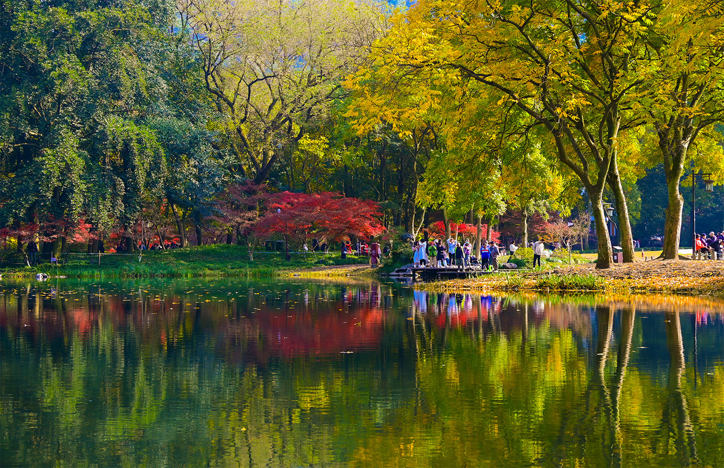 Zhejiang University and Hangzhou